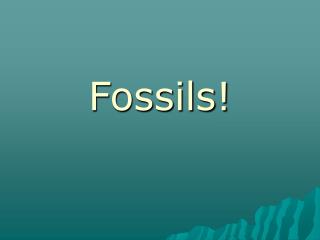 Fossils!