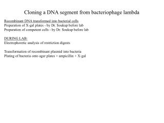 Cloning a DNA segment from bacteriophage lambda