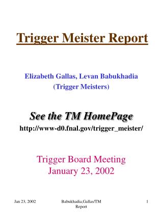 Trigger Meister Report