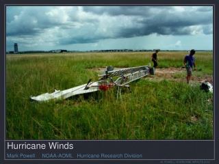 Hurricane Winds