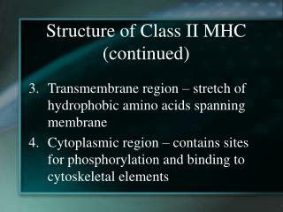 Structure of Class II MHC (continued)