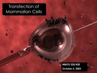 Transfection of Mammalian Cells