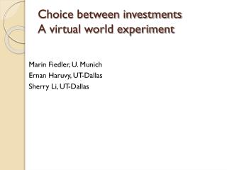 Choice between investments A virtual world experiment