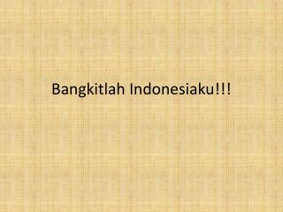 Bangkitlah Indonesiaku!!!