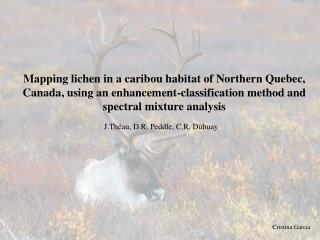 Mapping lichen in a caribou habitat of Northern Quebec,