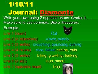 1/10/11 Journal: Diamonte