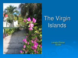 The Virgin Islands