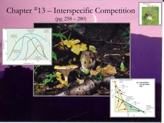 Chapter # 13 – Interspecific Competition (pg. 258 – 280)