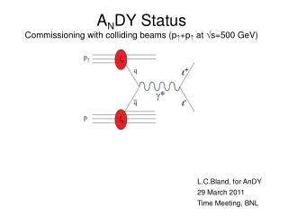 A N DY Status Commissioning with colliding beams (p  +p  at s=500 GeV)