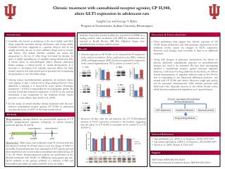 Chronic treatment with cannabinoid receptor agonist, CP 55,940,