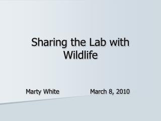 Sharing the Lab with Wildlife