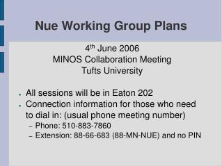 Nue Working Group Plans