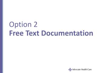 Option 2 Free Text Documentation