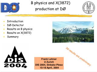B physics and X(3872) production at DØ