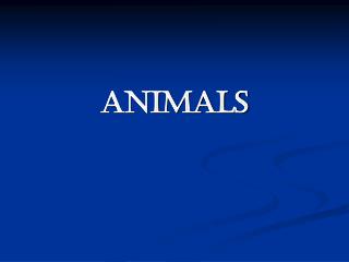 ANIMALS