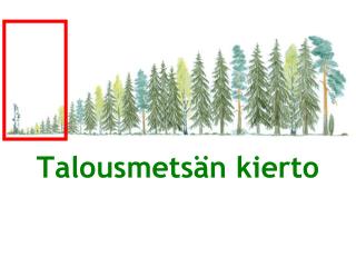 Talousmetsän kierto