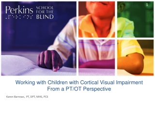 Working with Children with Cortical Visual Impairment From a PT/OT Perspective