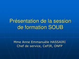 Présentation de la session de formation SOUB