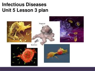 Infectious Diseases Unit 5 Lesson 3 plan