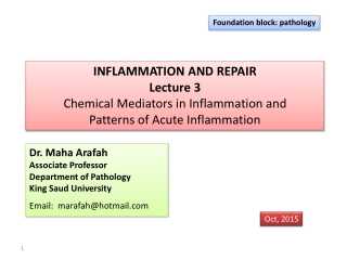 INFLAMMATION AND REPAIR Lecture 3 Chemical Mediators in Inflammation and