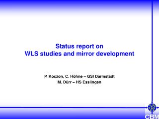 Status report on WLS studies and mirror development