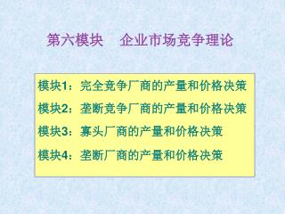 第六模块 企业市场竞争理论