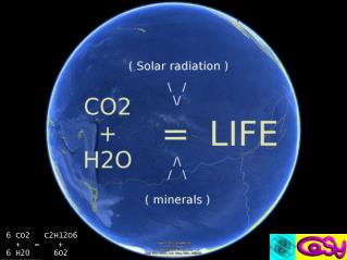 6 CO2 C2H12O6 + = + 6 H20 6O2