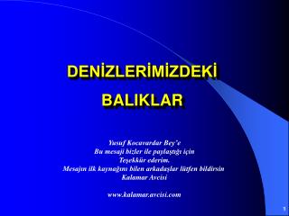 DENİZLERİMİZDEKİ BALIKLAR