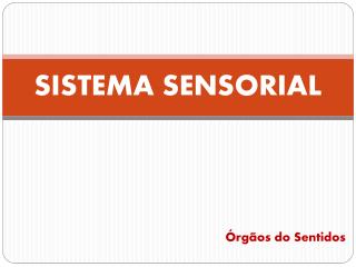 SISTEMA SENSORIAL