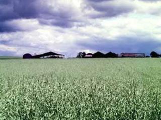 An exploration of the relationship between productivity and diversity in British Grasslands