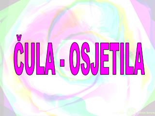 Čula-osjetila