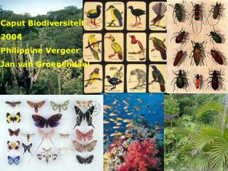 Caput Biodiversiteit 2004 Philippine Vergeer Jan van Groenendael