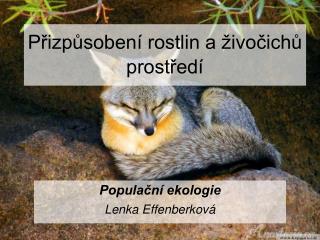 Přizpůsobení rostlin a živočichů prostředí