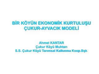 BİR KÖYÜN EKONOMİK KURTULUŞU ÇUKUR-AYVACIK MODELİ Ahmet KANTAR Çukur Köyü Muhtarı