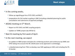 SWE IG meeting – 25 February 2014