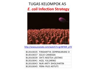 TUGAS KELOMPOK A5