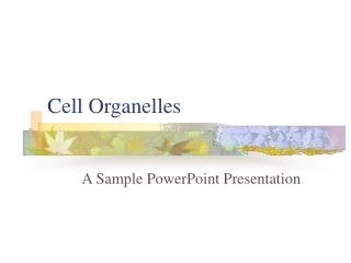 Cell Organelles