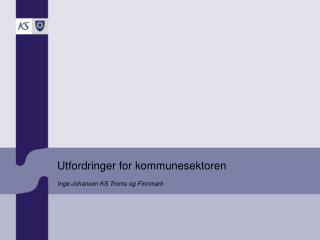 Utfordringer for kommunesektoren