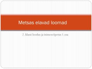 Metsas elavad loomad