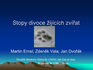 Stopy divoce žijících zvířat