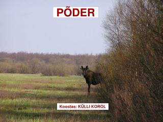 PÕDER