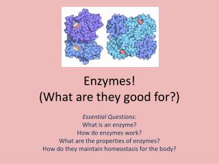 Enzymes! (What are they good for?)