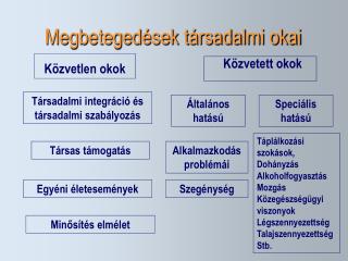 Megbetegedések társadalmi okai