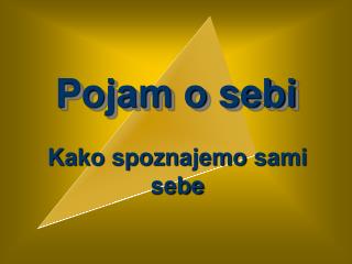 Pojam o sebi