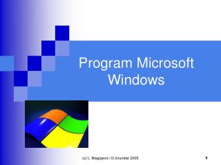 Program Microsoft Windows