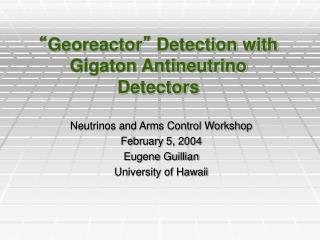 “ Georeactor ” Detection with Gigaton Antineutrino Detectors