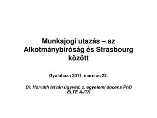 Munkajogi utazás – az Alkotmánybíróság és Strasbourg között