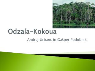 Odzala - Kokoua