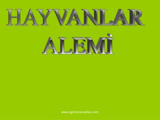 HAYVANLAR ALEMİ