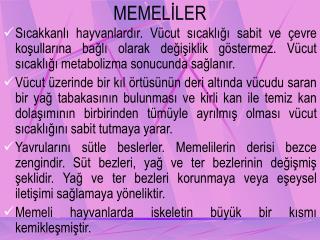 MEMELİLER